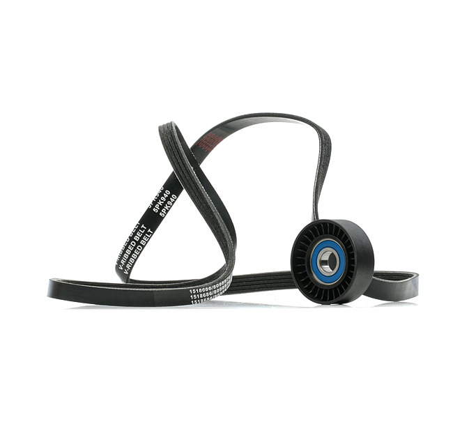 RIDEX 542R0889 Drivremssats