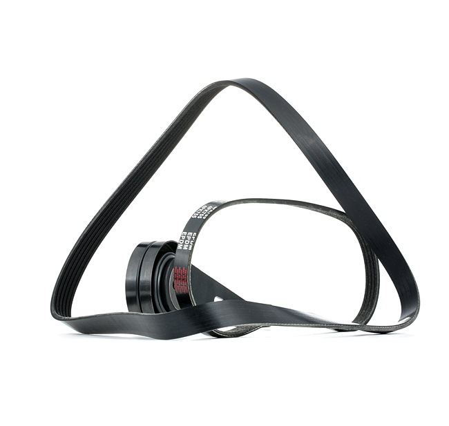 RIDEX 542R0907 Drivremssats