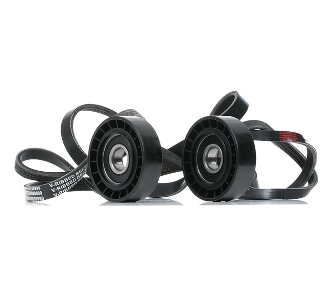 RIDEX 542R0909 Drivremssats