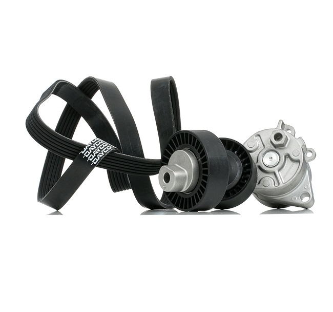 RIDEX 542R0913 Keilrippenriemensatz BMW E34 525i 24V 192 PS Benzin Kosten