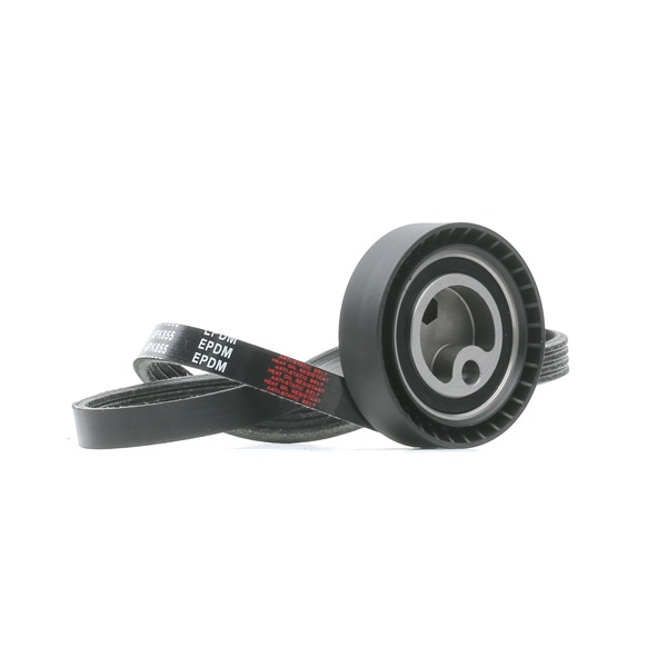 RIDEX 542R0927 Keilrippenriemensatz Land Rover Range Rover 2 2.5 D 4x4 136 PS Diesel Kosten