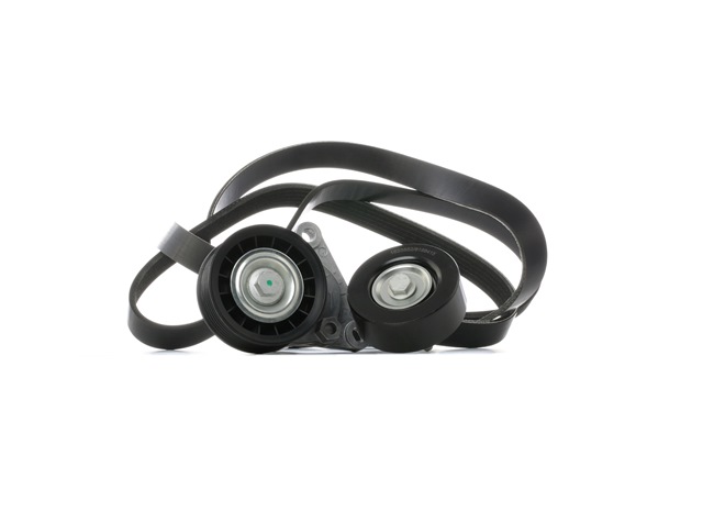 RIDEX 542R0950 Σετ ιμάντων poly-V