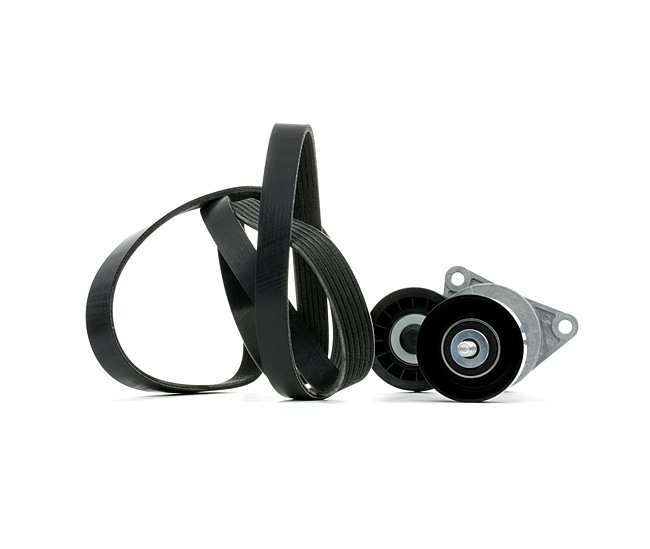 RIDEX 542R0978 Kileribberemssæt Ford Focus DAW 2.0 16V 131 HK Benzin pris