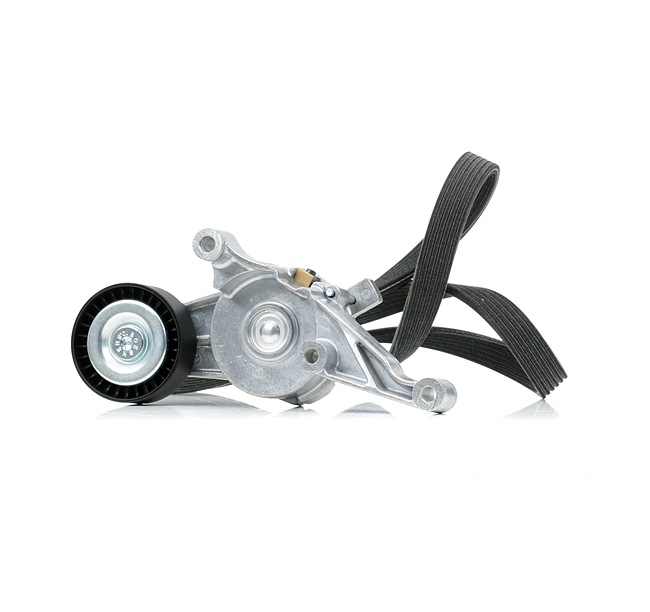 RIDEX 542R0987 V-Ribbed Belt Set