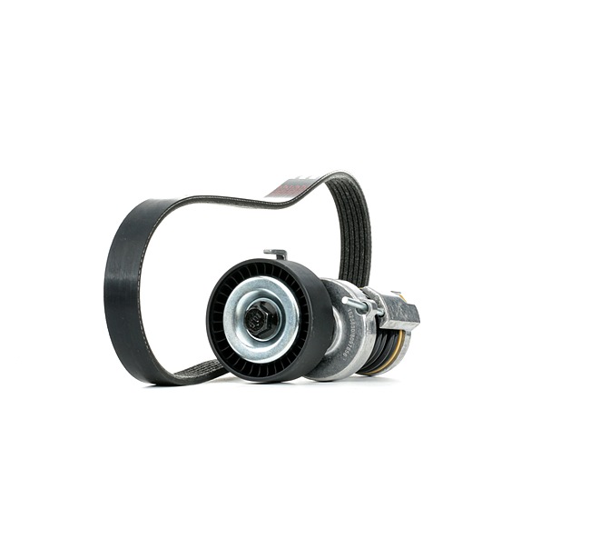 voiture Kit complet de courroies d'accessoire RIDEX 542R0992 acheter