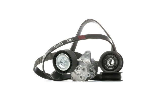 RIDEX 542R0995 Keilrippenriemensatz Mercedes Vito W639 109 CDI (639.701) 88 PS Diesel Kosten