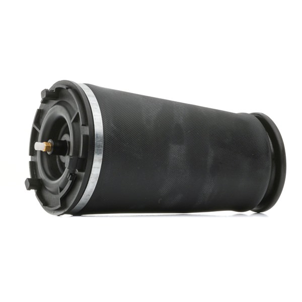 RIDEX 4119A0094 Ressort pneumatique