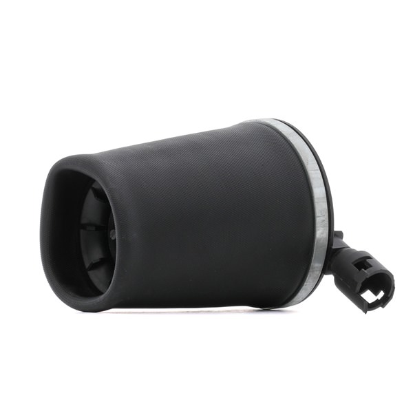 RIDEX 4119A0095 Luchtbalg