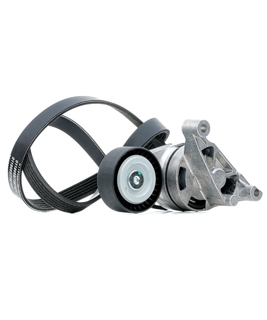 STARK SKRBS-1201016 Kit de correa de accesorios Octavia 1z5 2.0 TDI 16V 140 cv Gasóleo precio