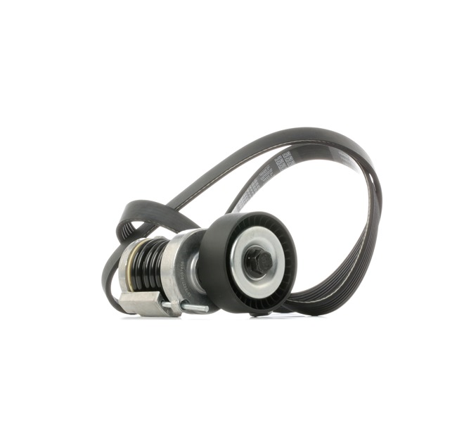 RIDEX 542R1019 Juego de correas trapeciales poli V