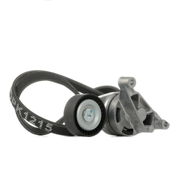RIDEX 542R1022 Juego de correas trapeciales poli V