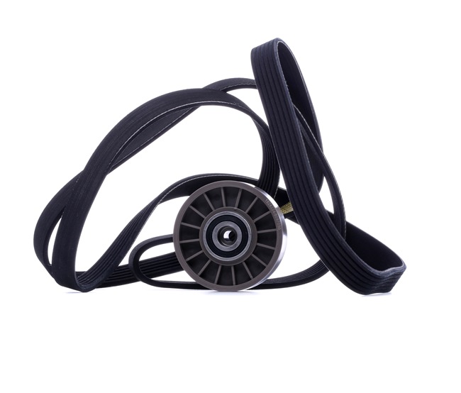 RIDEX 542R1041 Jeu de courroies trapézoïdales à nervures
