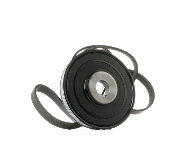 Σετ ιμάντων poly-V 542R1045 RIDEX 0515 V6 Volkswagen