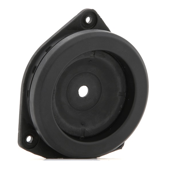 RIDEX 1180S0766 Fjäderbenslagring