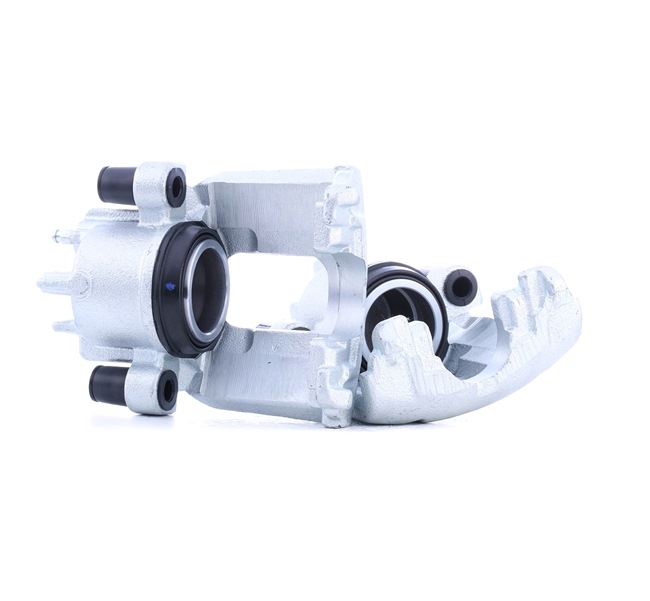 RIDEX 78B1713 Remklauwen Ford Focus Mk1 1.6 16V 100 Pk Benzine prijs