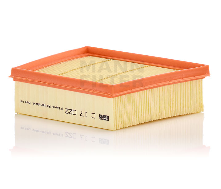 MANN-FILTER C 17 022 Gaisa filtrs