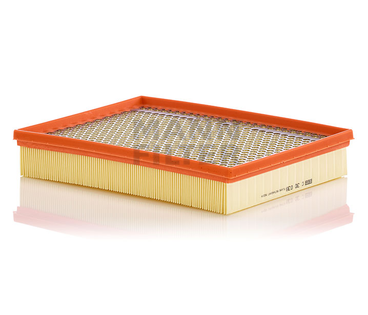 MANN-FILTER C 30 039 Gaisa filtrs