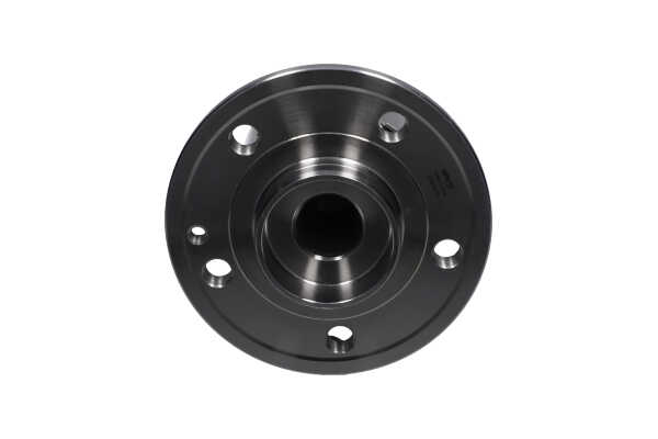 KAVO PARTS WBK-10038 Pyöränlaakerisarja