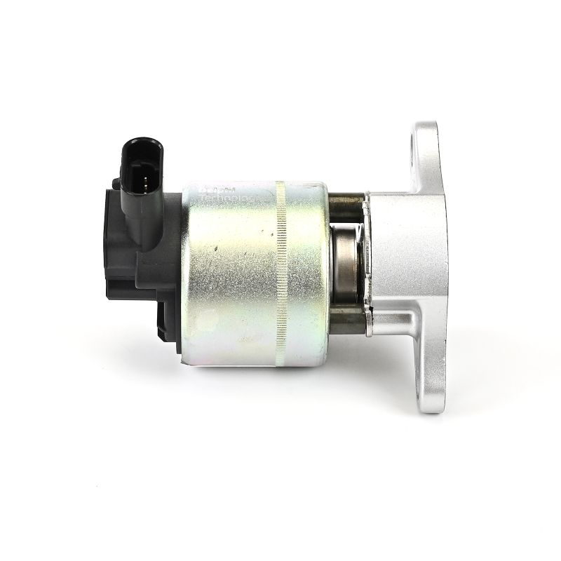 DELPHI EG10015 EGR valve