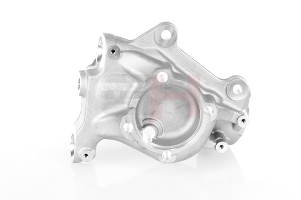 GH GH-291549H originele Fuseehuis BMW 3-serie prijs
