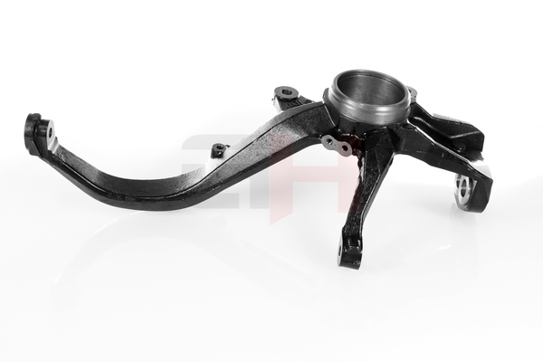 GH GH-293206H FORD FIESTA fuseestuk origineel