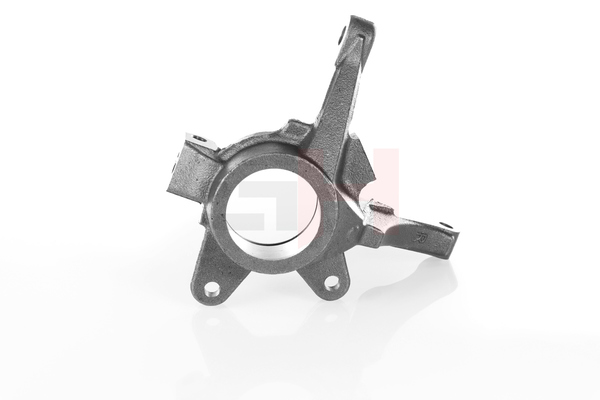GH GH-293989H Fuseestuk Renault Clio 2 1.5 dCi 57 Pk Diesel prijs