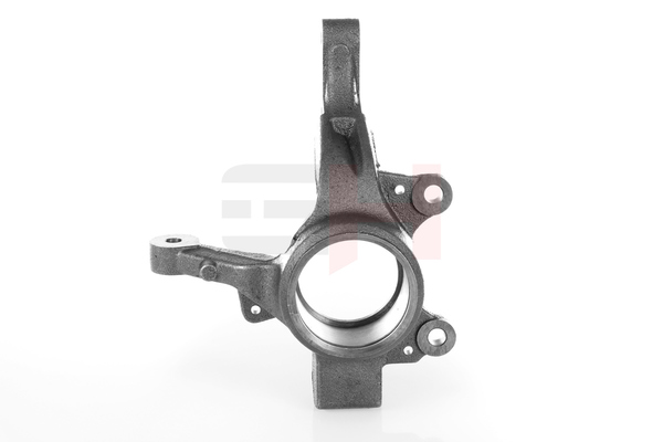 GH GH-293993H Fuseepen Renault Clio 3 originele prijs