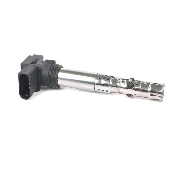 DELPHI GN10195 Ignition coil