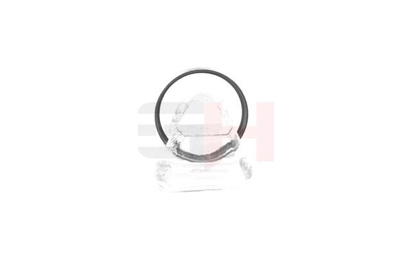 GH GH-493763 ABS sensor ring Peugeot 508 SW 1.6 THP 150 hk Bensin pris