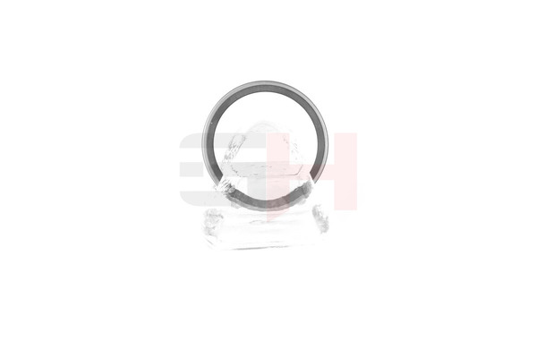 GH GH-493910 Anel de sensor de ABS Renault Grand Scénic II 2.0 163 cv Gasolina preço