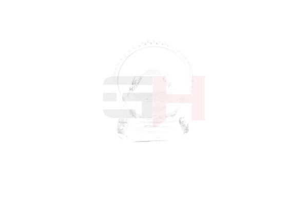 GH GH-493981 Andur, abs Renault Scenic 1 1.6 102 hj Bensiin hind