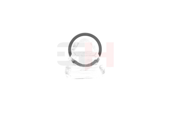 GH GH-493985 Abs sensorring Clio 3 1.5 dCi 64 Pk Diesel prijs