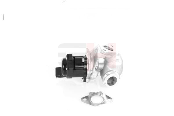 GH GH-732549 Vanne EGR