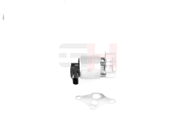 GH GH-733747 Vanne EGR