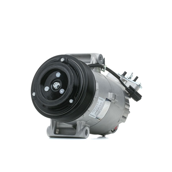 DELPHI Ilmastoinnin kompressori TSP0155928 DELPHI TSP0155928 BUICK Ilmastoinnin kompressori vaihto hinta