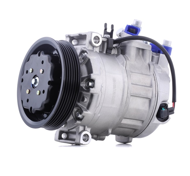 Aircopomp 447K0662 RIDEX 8E0260805BC BMW