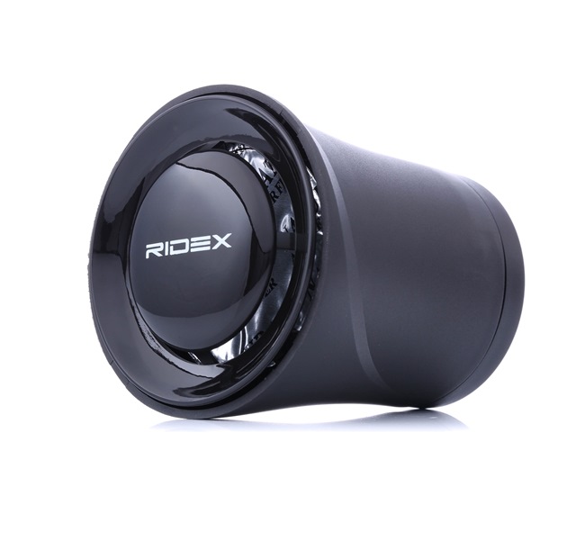 RIDEX 3443A0360 Désodorisant