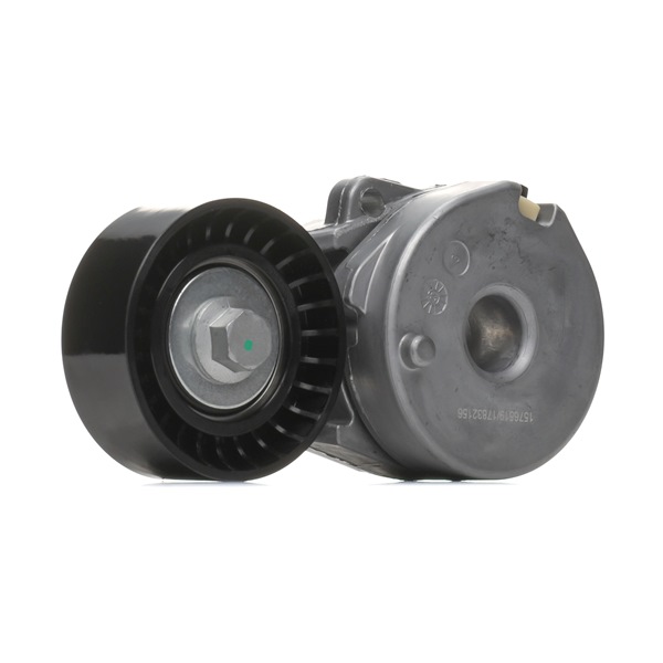 Poulie, tendeur de courroie d'accessoire 310T0566 RIDEX 11 95 5BV 80A Jeu de courroies trapézoïdales à nervures 310T0566 RIDEX 11 95 5BV 80A RENAULT