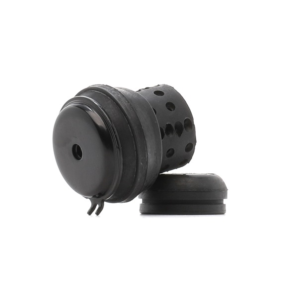RIDEX 247E0828 Motorfäste till Seat Ibiza II 6K1 1.4 i 60 hk 1997 AKV Bensinmotor RIDEX 247E0828 Motorkuddar Seat Ibiza 6k 1.4 i 60 hk Bensin pris