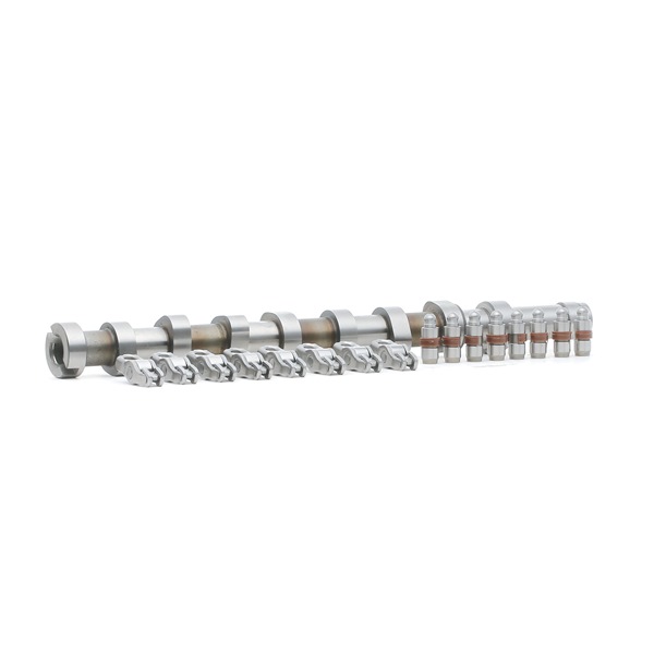 RIDEX 567C0027 Nockenwelle DS3 Cabrio 1.6 BlueHDi 116 116 PS Diesel Kosten