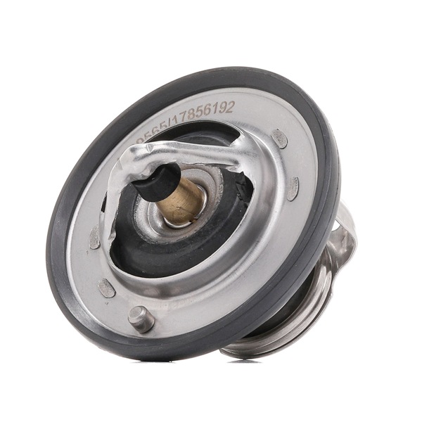 316T0407 Kühlwasserthermostat RIDEX 7701065352 MERCEDES-BENZ