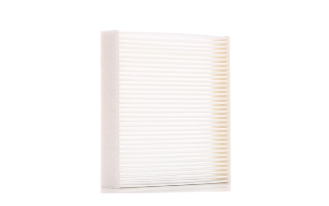 DENSO Pollen filter DCF591P AC filter DENSO KYRON DCF591P cheap