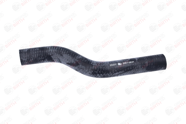 Flessibile radiatore 55437 BIRTH 25411 1G000 CHEVROLET