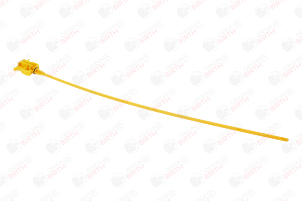 Astina olio motore 80909 BIRTH 77 00 314 572 Astina olio motore 80909 BIRTH 7700314572 RENAULT
