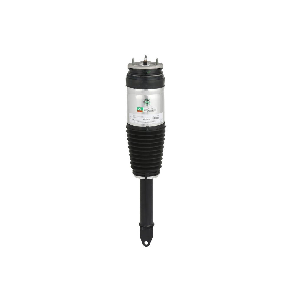 Arnott AS-3748 Air suspension strut