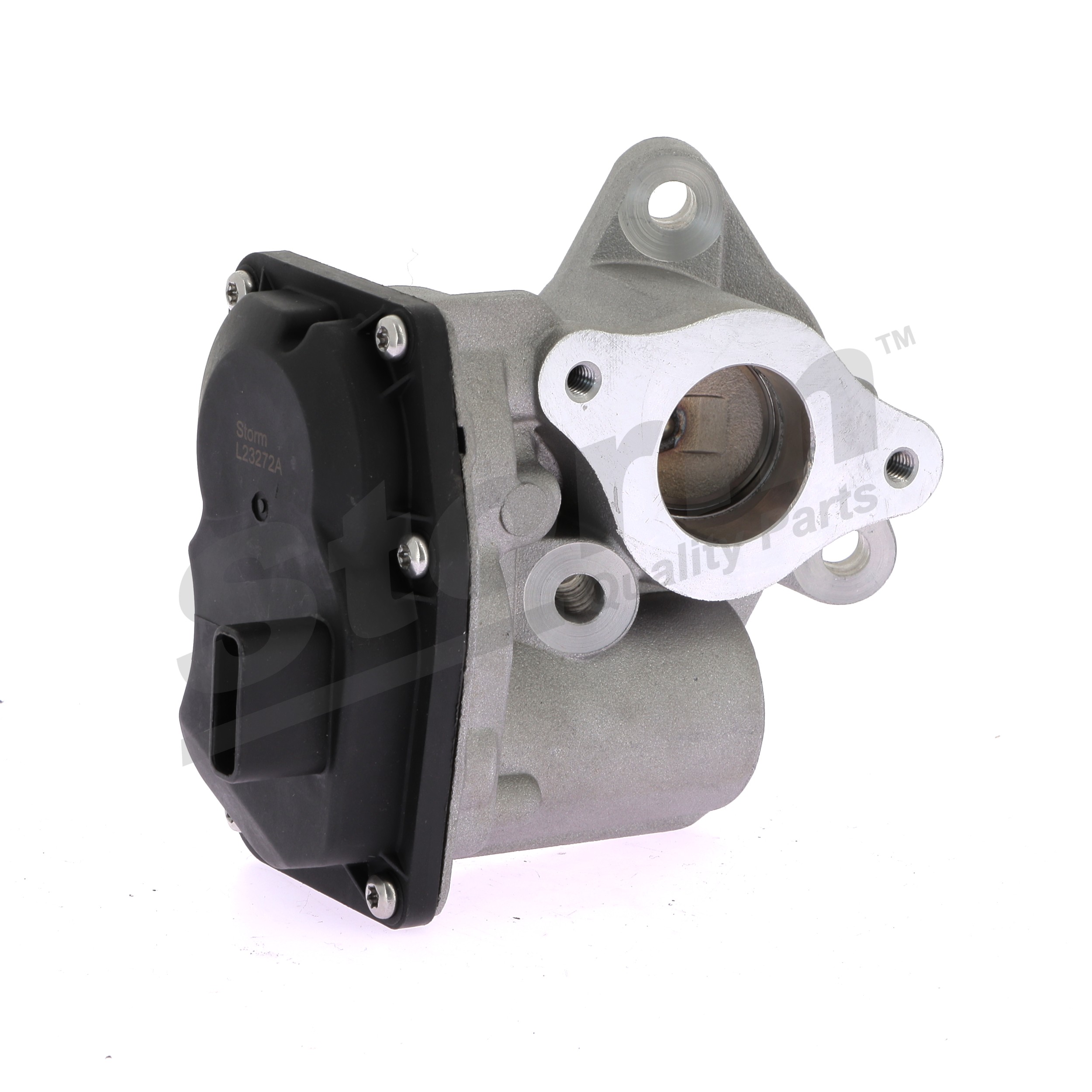 EGR valve 9098 STORM QUALITY PARTS 14710-00Q1F EGR valve 9098 STORM QUALITY PARTS 14710-00Q1F Volkswagen