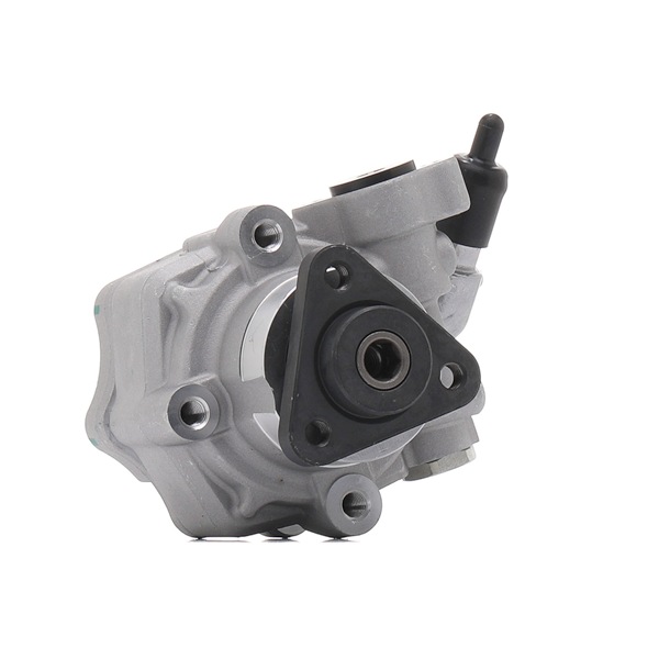RIDEX REMAN 12H0093R Lenkungspumpe für Volkswagen Multivan VI SGF, SGM, SGN 2.0 TDI 150 PS 2022 DNAA Diesel RIDEX REMAN 12H0093R Elektrische Servopumpe VW Multivan T6 2.0 TDI 150 PS Diesel Kosten