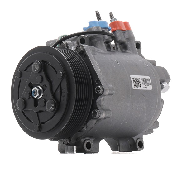 RIDEX REMAN 447K0011R Compresor AC para Honda CR-V II RD_ 2.0 (RD5) 150 cv 2002 K20A4 Motor Otto RIDEX REMAN 447K0011R Compresores de aire acondicionado Honda CR-V II 2.0 (RD5) 150 cv Gasolina precio