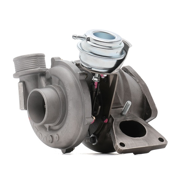 Tienda online de Turbo RIDEX REMAN 2234C11025R