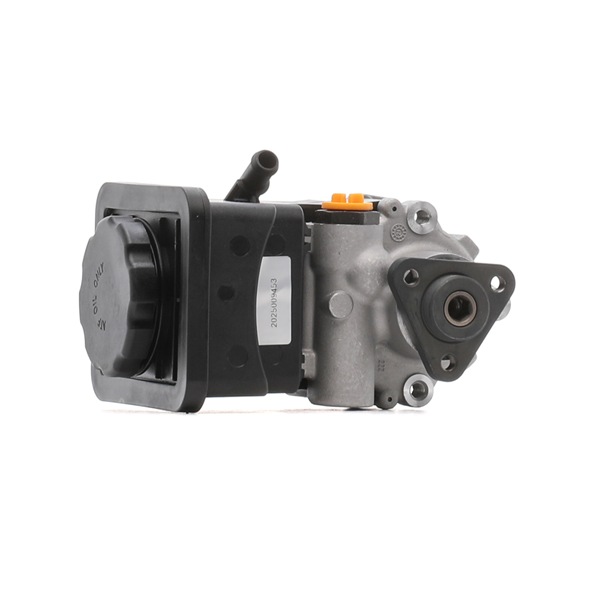 Servopumpe 12H0176R RIDEX REMAN 6 760 956 Servopumpe 12H0176R RIDEX REMAN 6 760 956 LAND ROVER